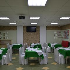 Отель Олимп, Бор, Нижегородская область