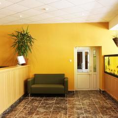 Отель Олимп, Бор, Нижегородская область