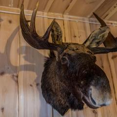 Мотель Мотель Пробка, Боровск, Калужская область