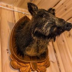 Мотель Мотель Пробка, Боровск, Калужская область