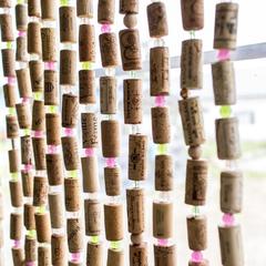 Мотель Мотель Пробка, Боровск, Калужская область