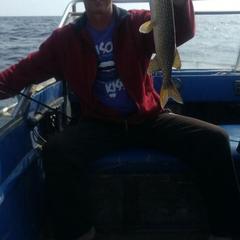 Гостиница Ситинский берег, Брейтово, Ярославская область