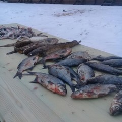 Рыболовно-охотничья база Набережная, Брейтовский район, Ярославская область