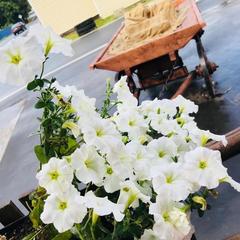 Отель Эль Гаучо, Бронницы, Московская область