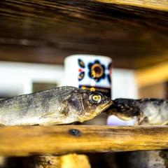 Мотель Мотель Пробка, Боровск, Калужская область