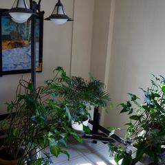 Гостевой дом Отень, Брянск, Брянская область