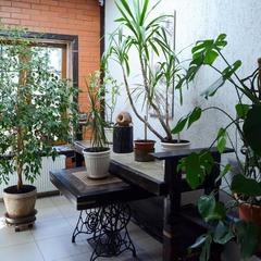 Гостевой дом Отень, Брянск, Брянская область