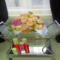 Отель Николь, Брянск, Брянская область