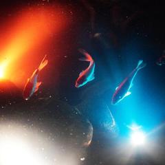 Отель Милославский, Брянск, Брянская область