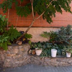 Гостевой дом Отень, Брянск, Брянская область