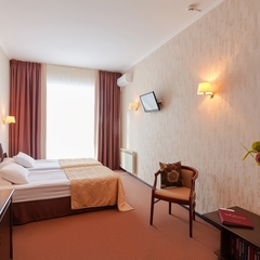 Гостиница Граф Толстой, Брянск, Брянская область