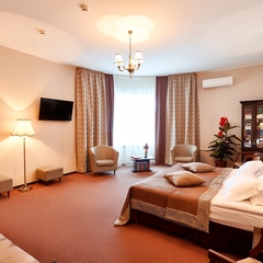 Гостиница Граф Толстой, Брянск, Брянская область