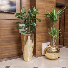 Отель Бежица, Брянск, Брянская область