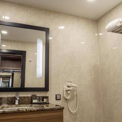 Отель Бежица, Брянск, Брянская область