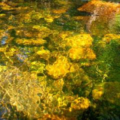 База отдыха Куяда на Байкале, Бугульдейка, Иркутская область