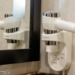 Отель Бежица, Брянск, Брянская область