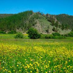 База отдыха Куяда на Байкале, Бугульдейка, Иркутская область