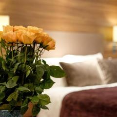 Отель Бежица, Брянск, Брянская область