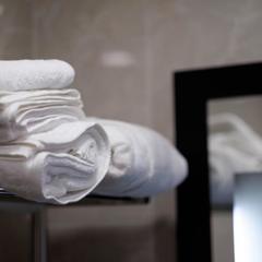 Отель Бежица, Брянск, Брянская область