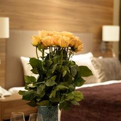 Отель Бежица, Брянск, Брянская область