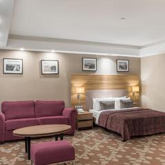 Отель Бежица, Брянск, Брянская область