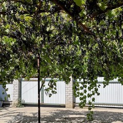 Туристическая база Дом на реке, Бузан, Астраханская область