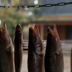 Туристическая база Дом на реке, Бузан, Астраханская область