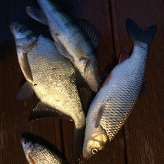 Рыболовная база Рыбацкий поселок Бундин, Бундин, Астраханская область