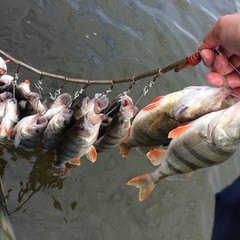 Рыболовная база Рыбацкий поселок Бундин, Бундин, Астраханская область