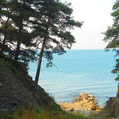 База отдыха Олимп, Бухта Инал, Краснодарский край