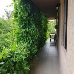 База отдыха Нефтяник, Бухта Инал, Краснодарский край