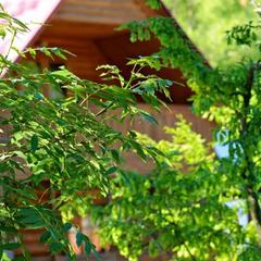 База отдыха Нефтяник, Бухта Инал, Краснодарский край