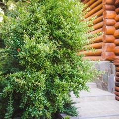 База отдыха Нефтяник, Бухта Инал, Краснодарский край