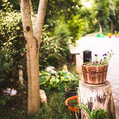 База отдыха Нефтяник, Бухта Инал, Краснодарский край