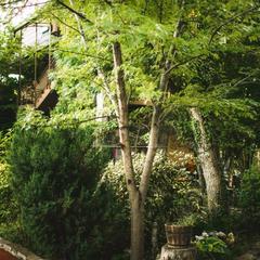 База отдыха Нефтяник, Бухта Инал, Краснодарский край