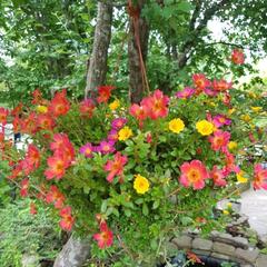 База отдыха Нефтяник, Бухта Инал, Краснодарский край