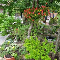 База отдыха Нефтяник, Бухта Инал, Краснодарский край