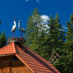 База отдыха Голубой Факел, Валдай, Новгородская область