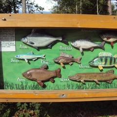 База отдыха Голубой Факел, Валдай, Новгородская область