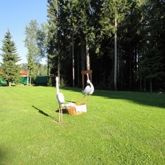 База отдыха Голубой Факел, Валдай, Новгородская область