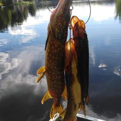 База отдыха Дом на Валдае, Валдай, Новгородская область