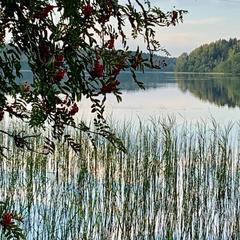 База отдыха Валдайская, Валдайский район, Новгородская область
