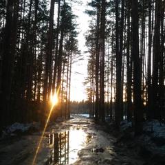 База отдыха Дом на Валдае, Валдай, Новгородская область