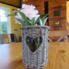 Гостевой дом Кот и Кошка, Валдай, Новгородская область