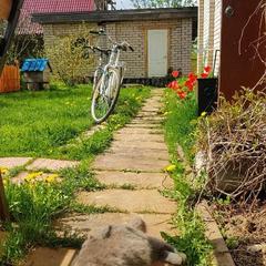 Дом отдыха Лосиный Тупичок, Валдай, Новгородская область