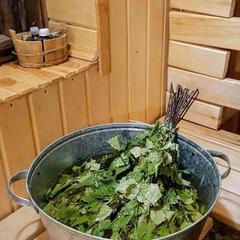 Дом отдыха Лосиный Тупичок, Валдай, Новгородская область