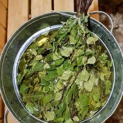 Дом отдыха Лосиный Тупичок, Валдай, Новгородская область