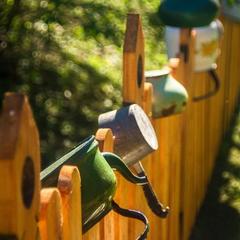 Дом отдыха Лосиный Тупичок, Валдай, Новгородская область