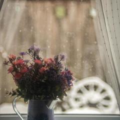 Дом отдыха Лосиный Тупичок, Валдай, Новгородская область