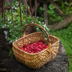 Дом отдыха Лосиный Тупичок, Валдай, Новгородская область